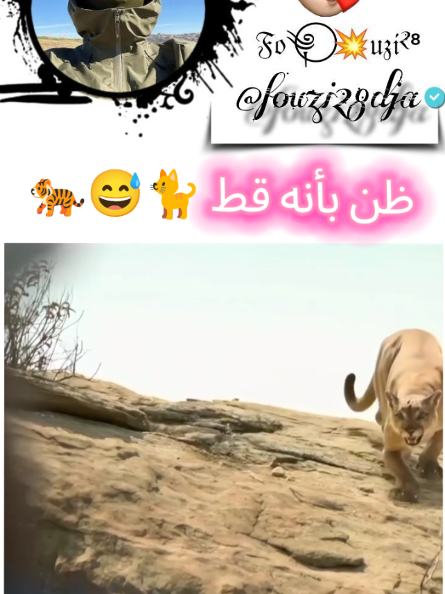 @๐๐ฌเผโ ๐ฅ๐ฒ๐ท๐ฆ²โธ
