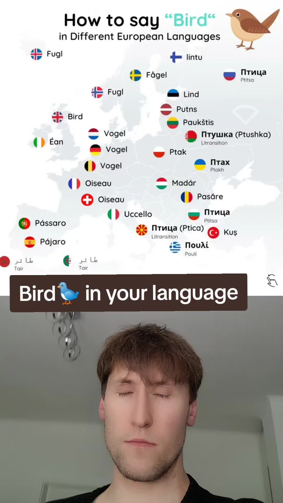 @Andreas Bro!!!🇵🇱