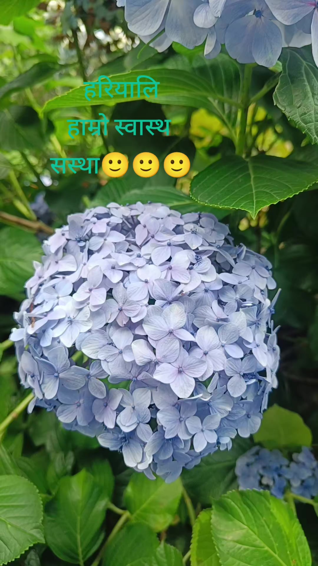@Grganita97