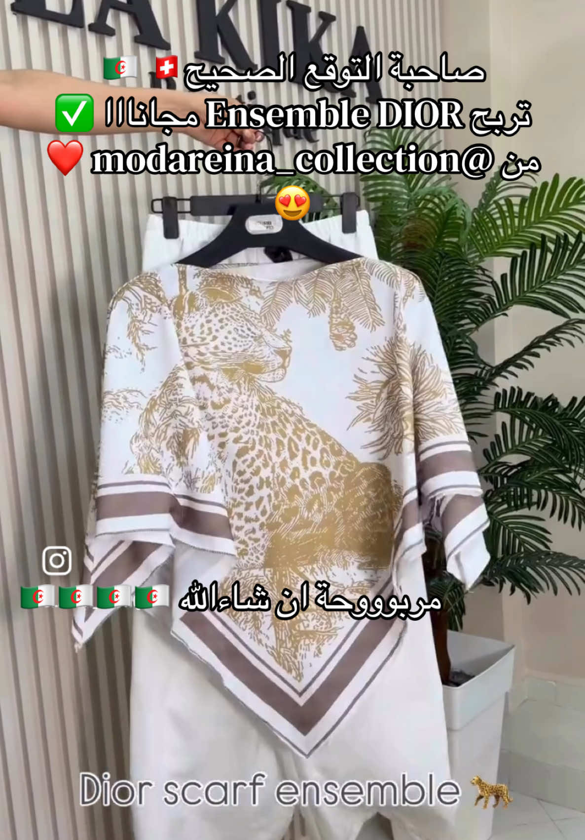 @modareina collection