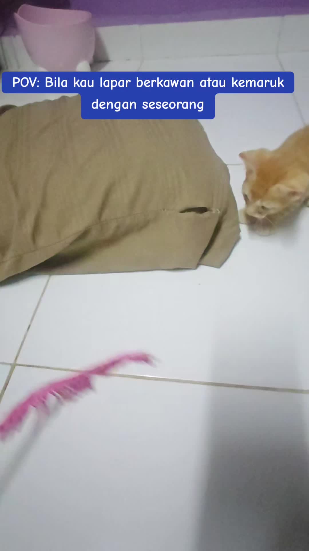 @๐๐๐ช