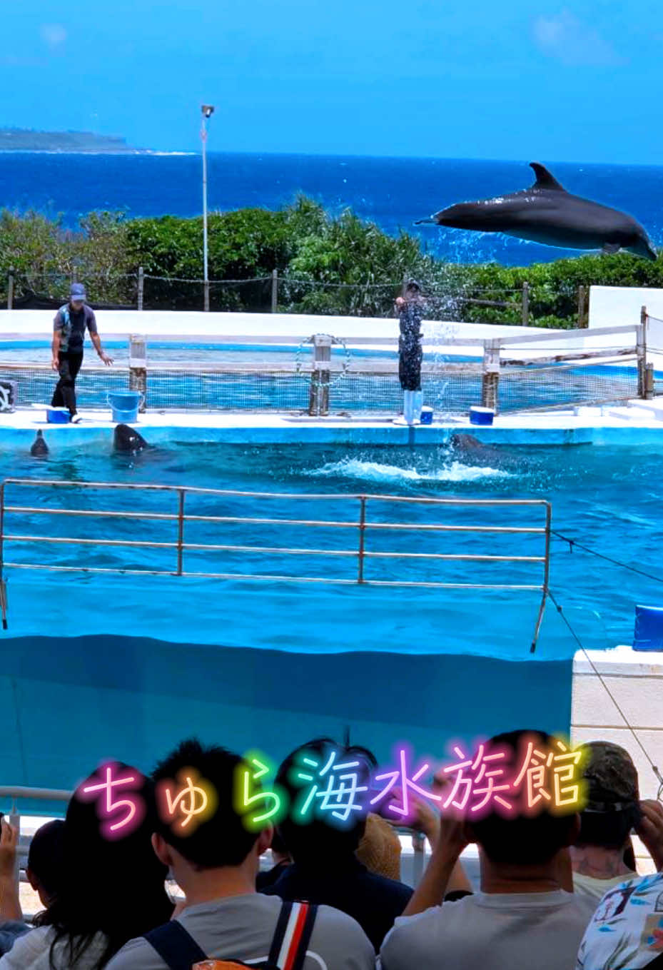 @横川貨物株式会社非公認個人