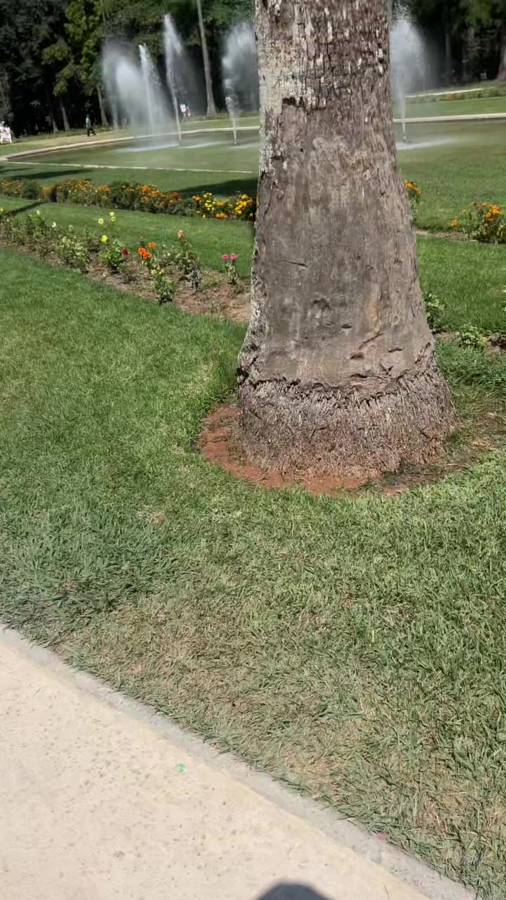 @Boubakeur