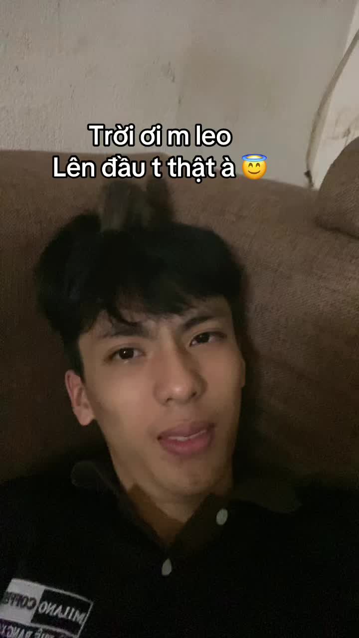 @dangvothanhgiau
