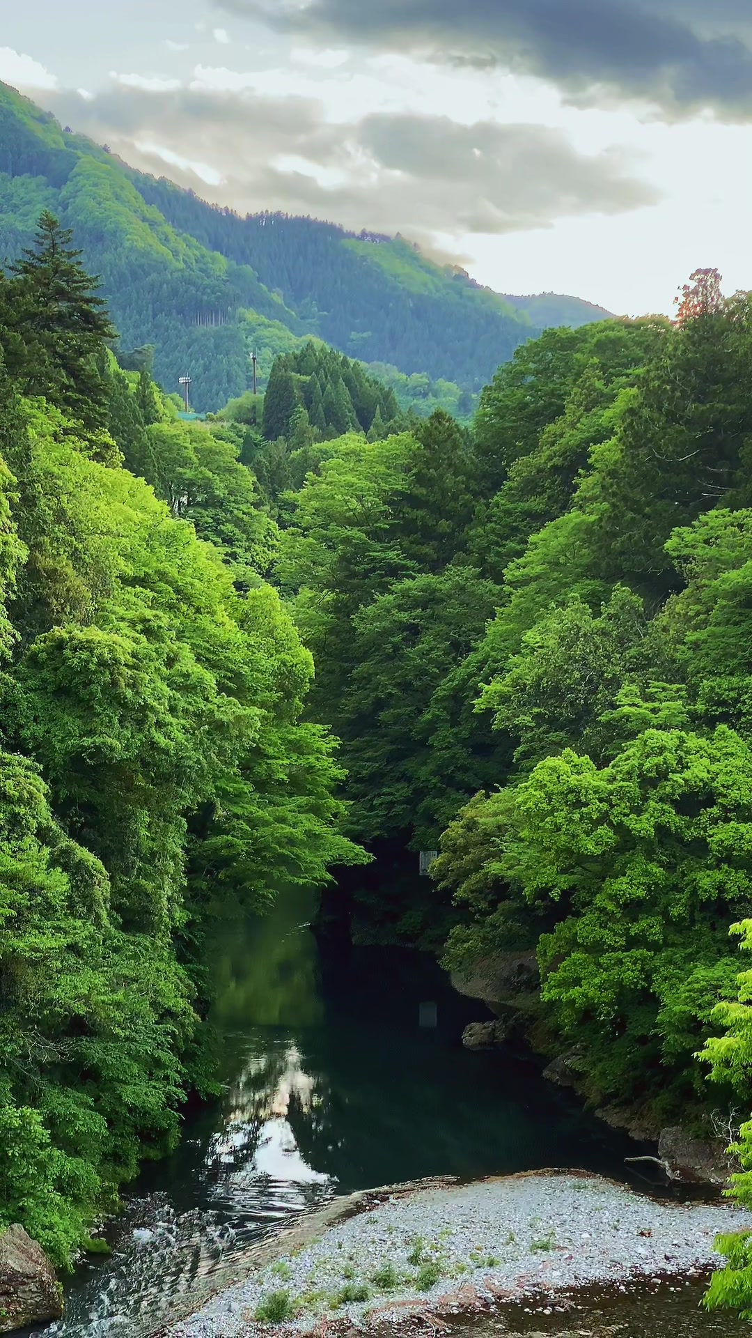 @Beauty of Japan
