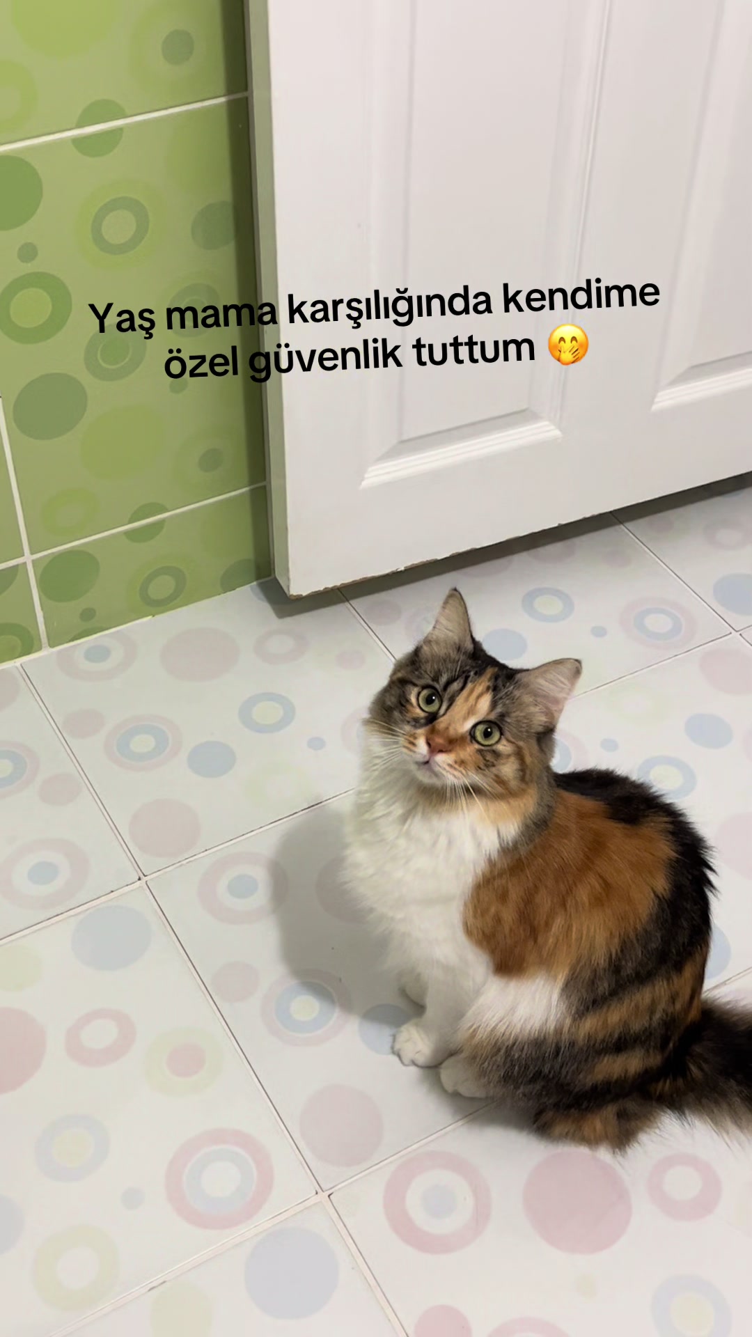 @konusankediminnos