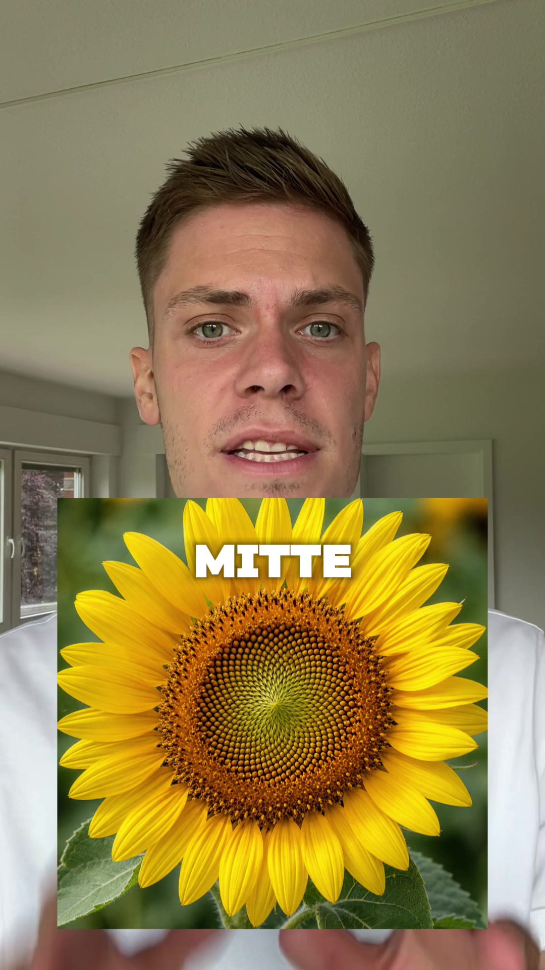 @MatheMind