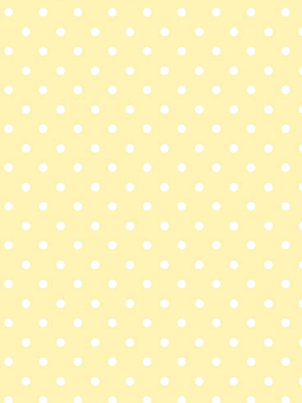 @꒰꒰ ׁ ׅ𝓐ᥣі᥊ ౨ৎ┆