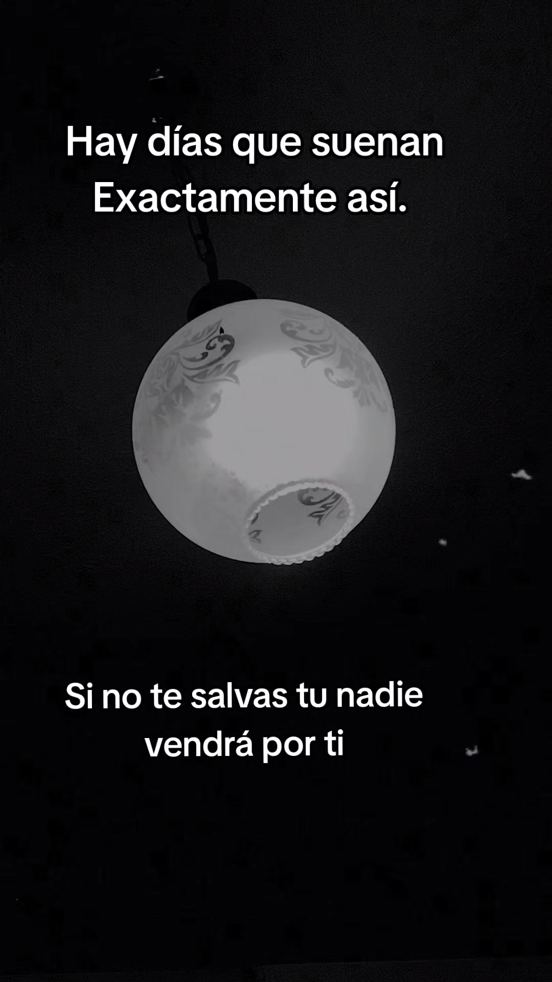 @david alvarado ad