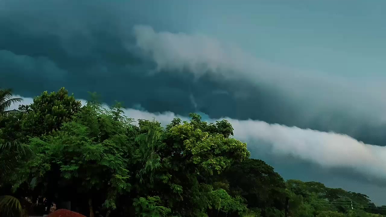@Pranto Biswas
