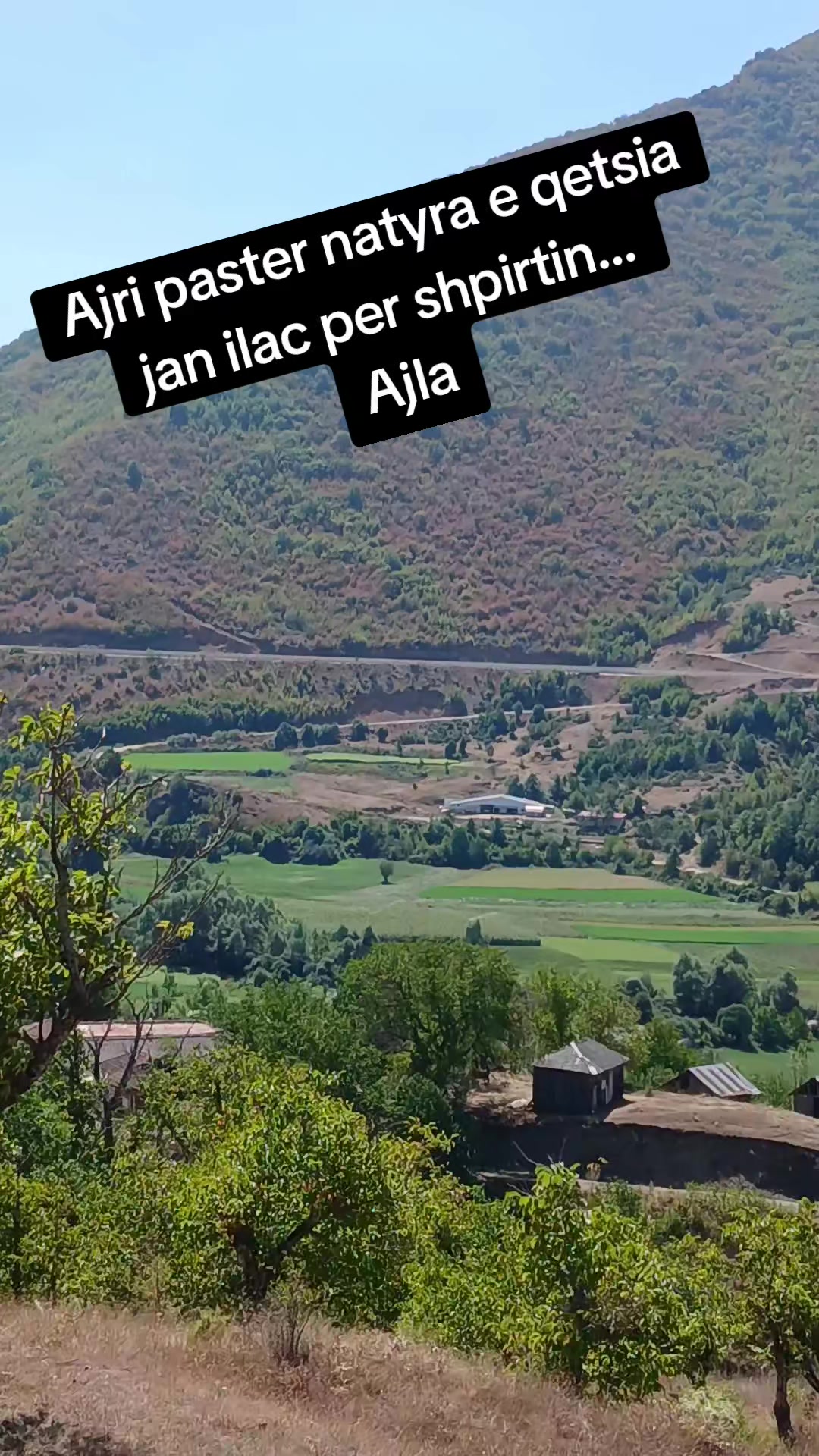 @Ajla