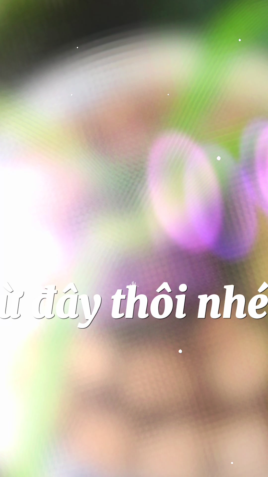 @Trần Ho&agrave;i 1980.