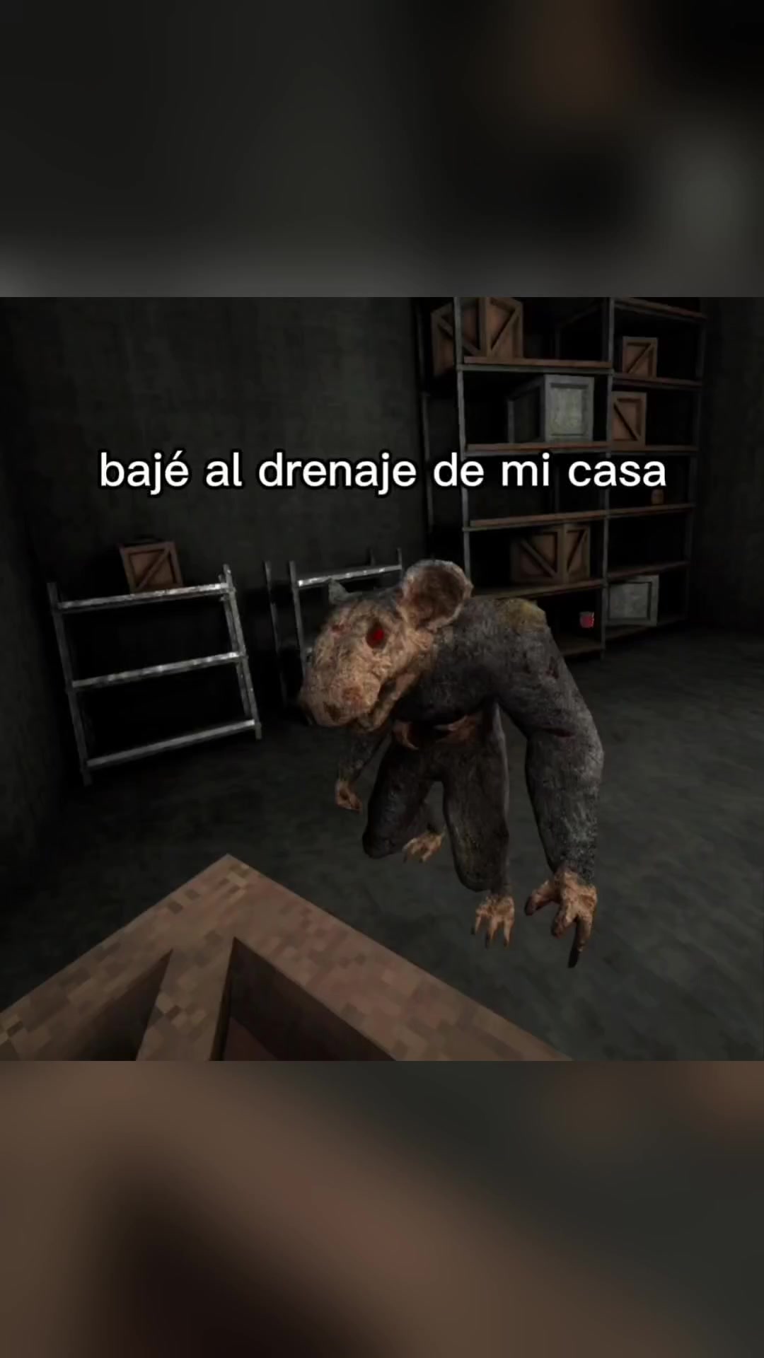 @BolilloVR