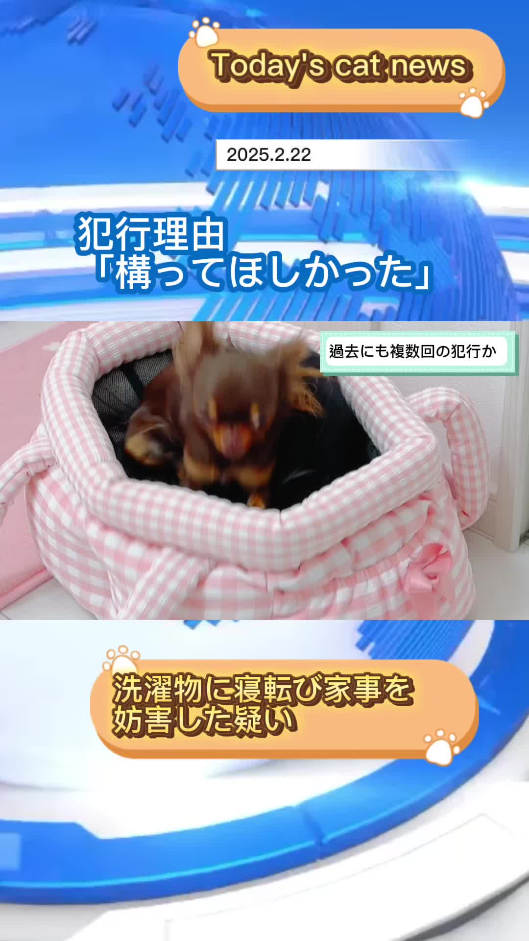 @🍓🌻★びっけ学園★🍓🌻