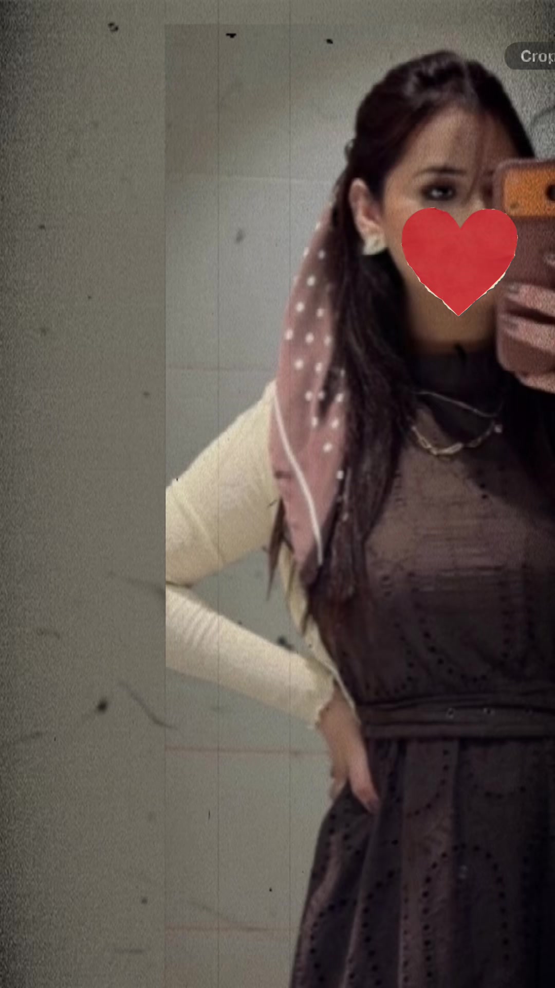 @bixkit100 🍪