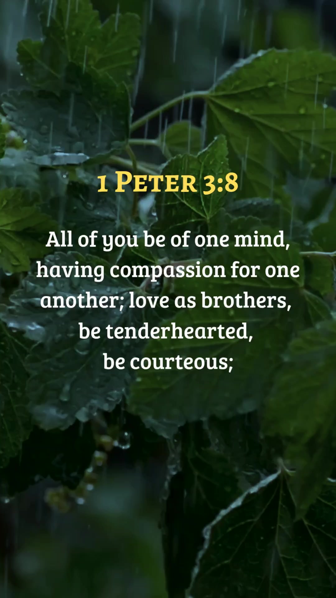 @Faith, Love and Life