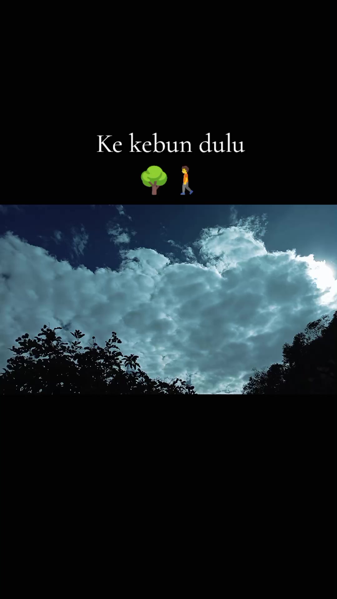 @ADY DURIAN FARM  🌳🚶