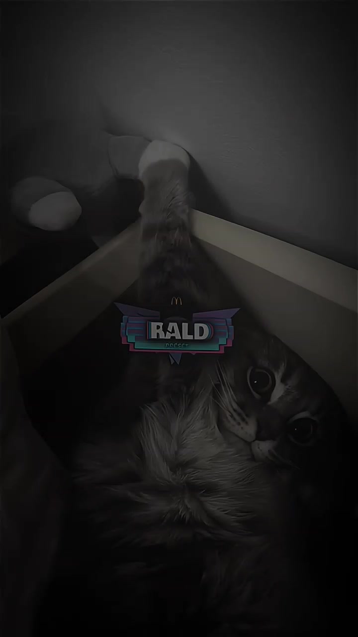 @𝙍ald 𝙋rst