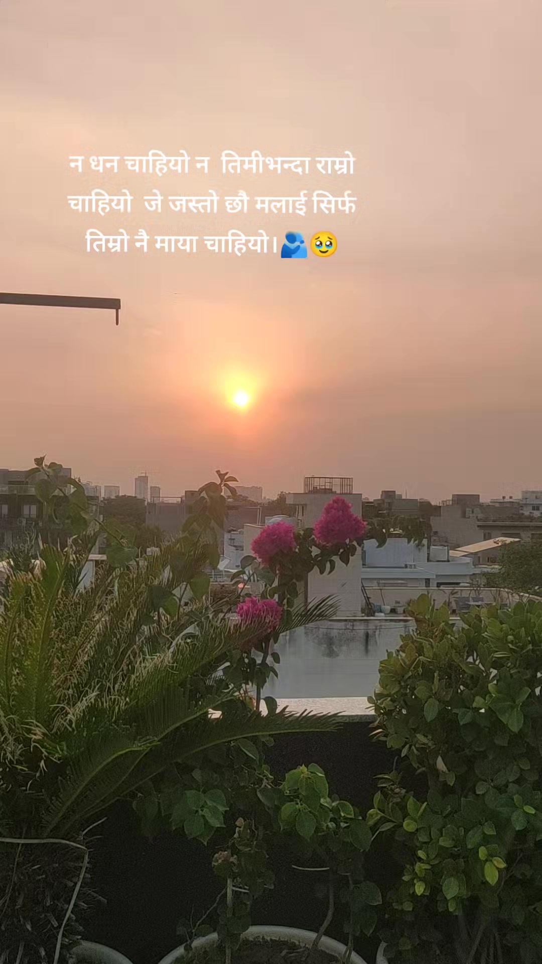 @alishapariyar38