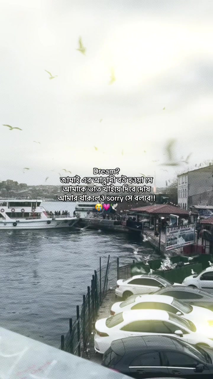 @ᥫ᭡.𝐑𝐢𝐦𝐢 𝐚𝐩𝐮")🎀🕊️