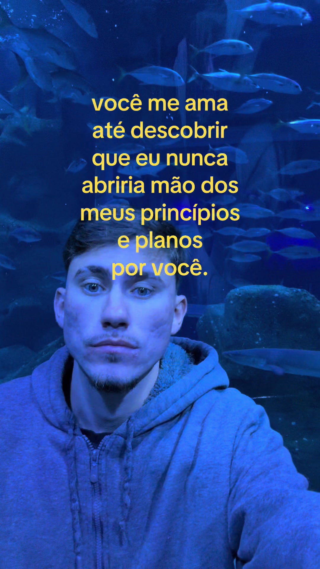 @z&eacute; 🕷️