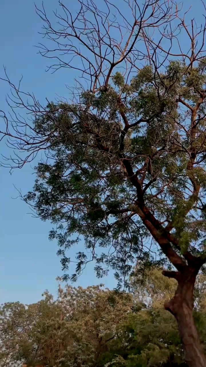 @𝘋𝘢𝘯𝘨𝘦𝘳 𝘢𝘥𝘮𝘪𝘯333🇰🇳