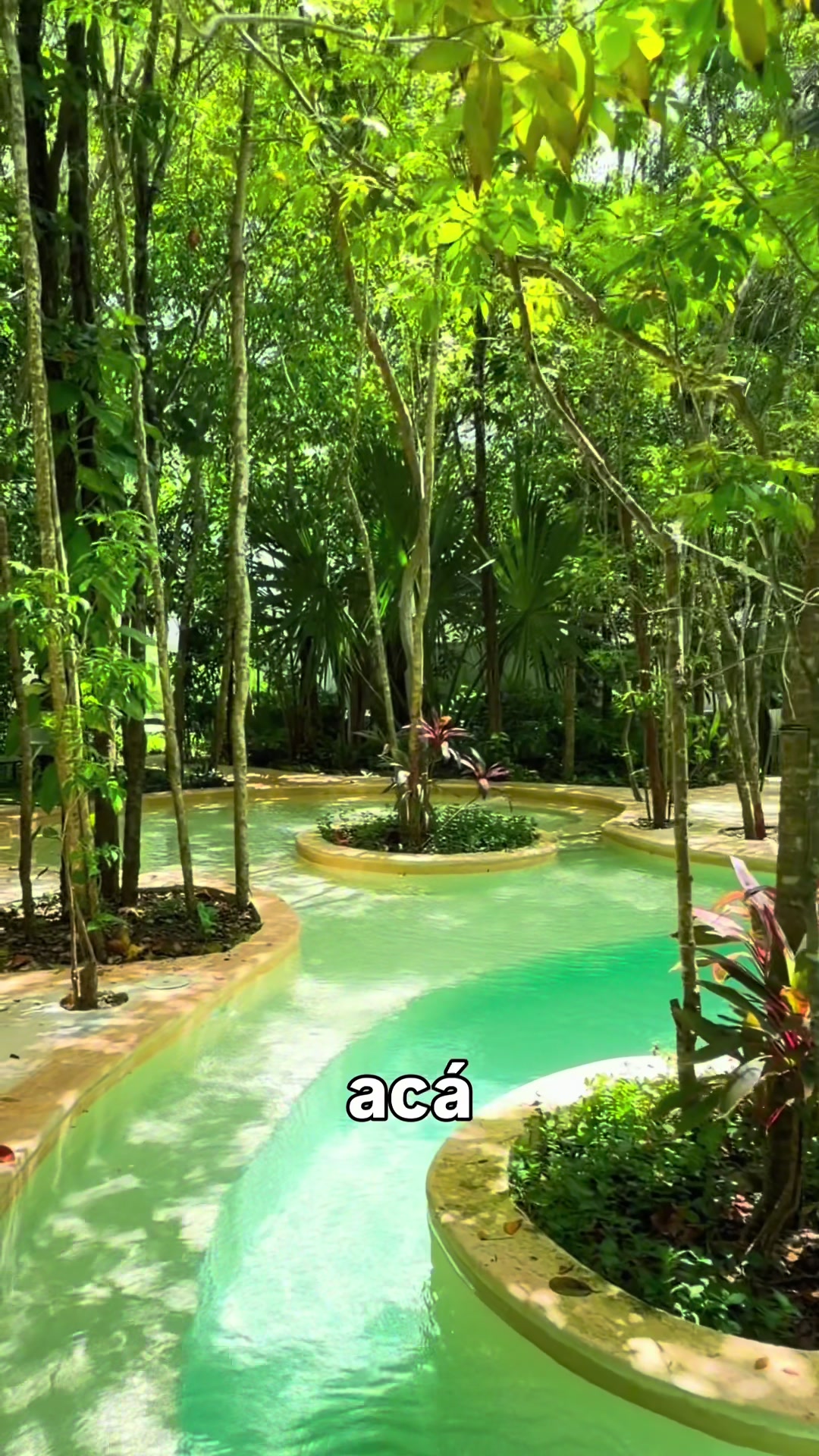 @Chris Cano BR