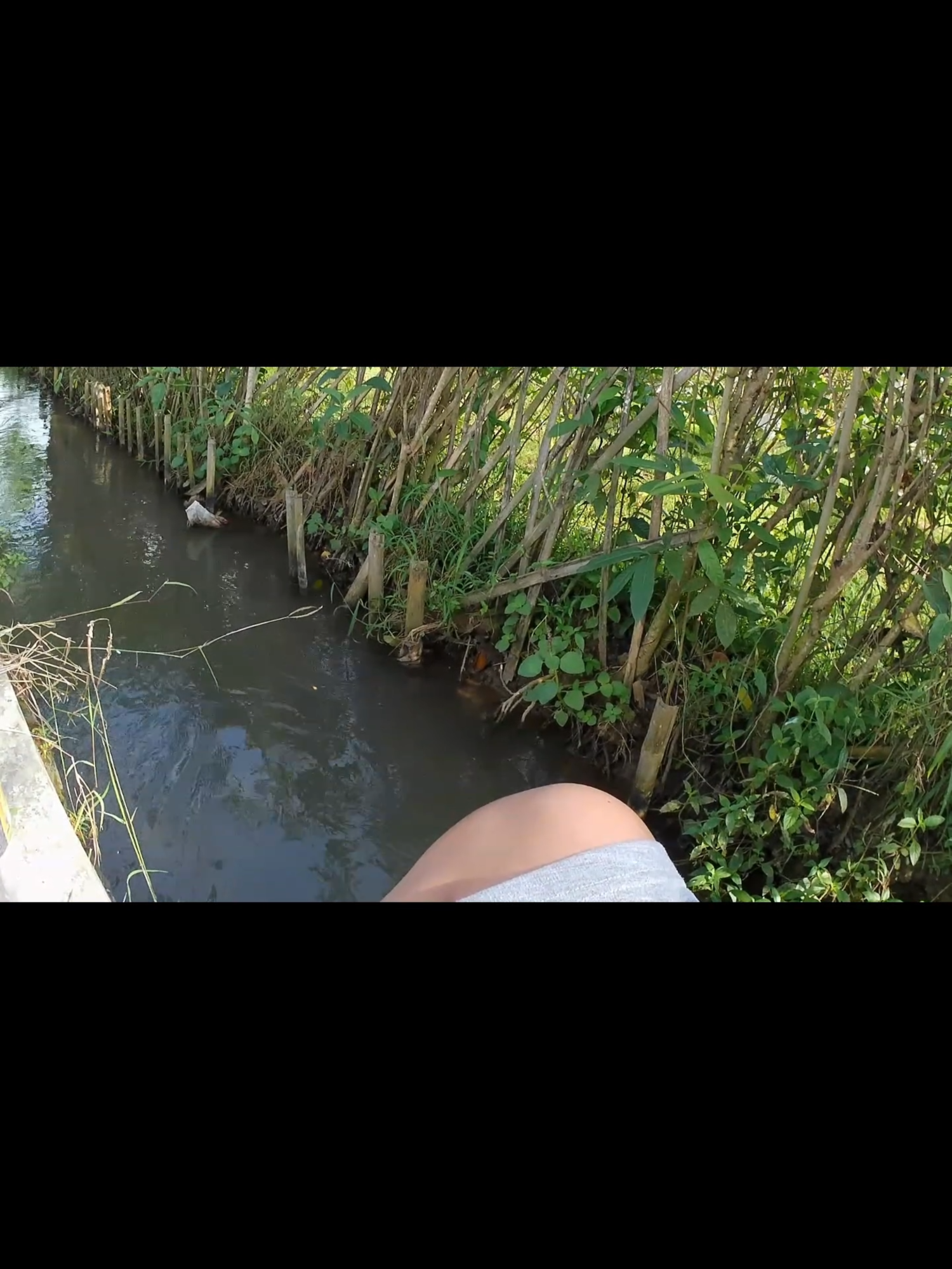 @Mancing oyy