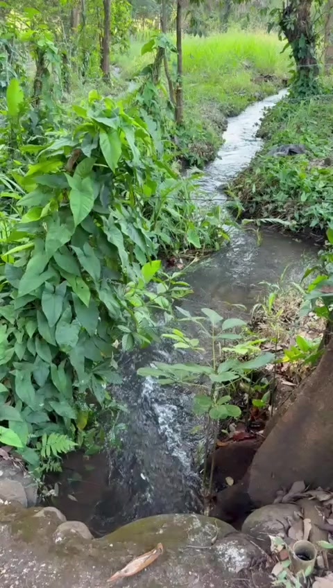 @Mariano 🇬🇹