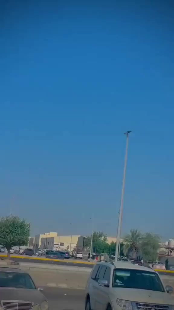 @𝒁𝑬𝑬ش𝑼🧸🥀🕊