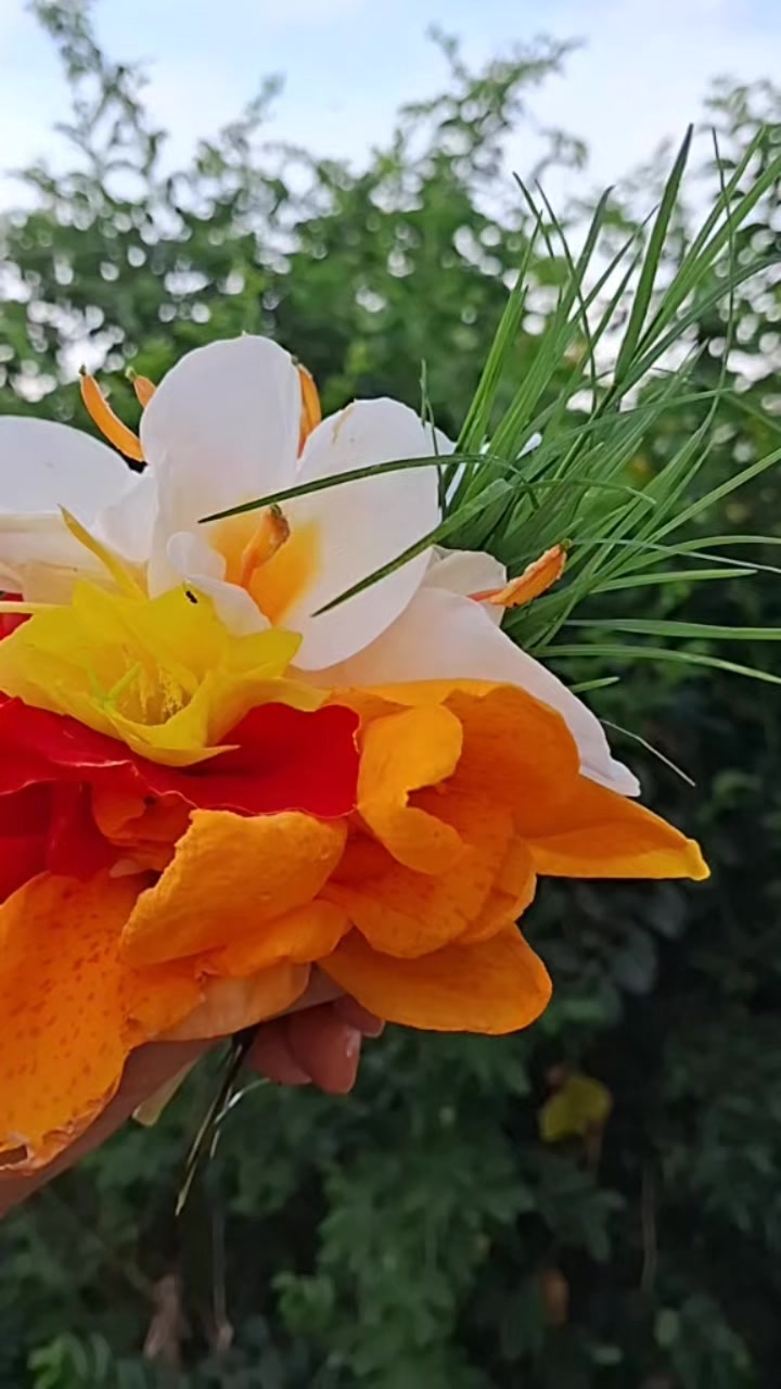@गंगा कोईराला