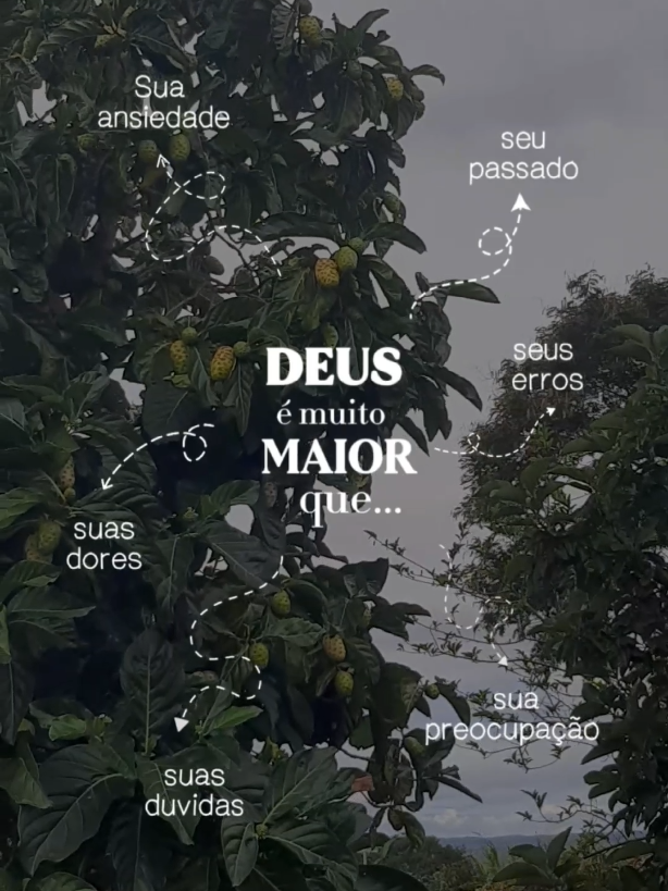 @Isaac Lopes