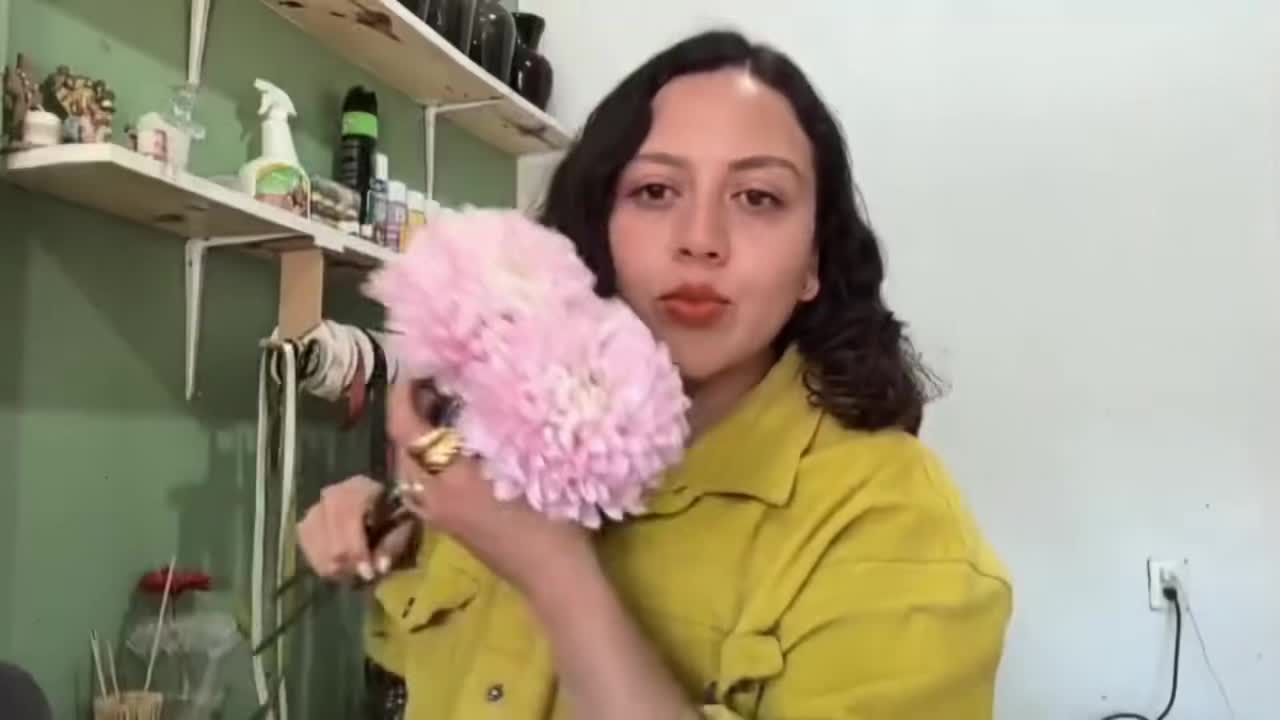@Gerba Florer&iacute;a💐