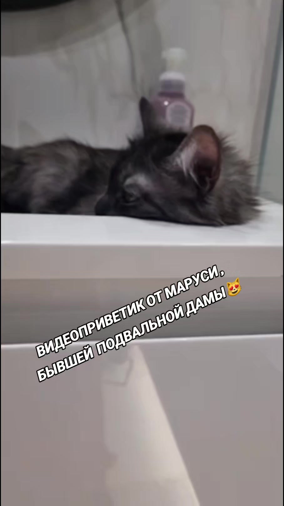 @marinka20_09