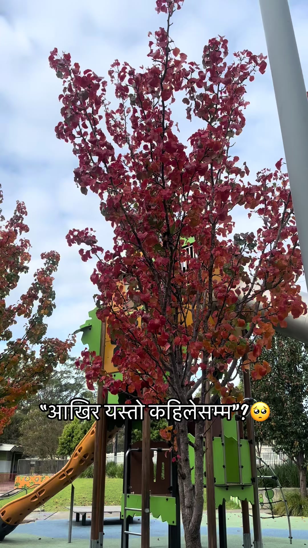 @vinodsabu