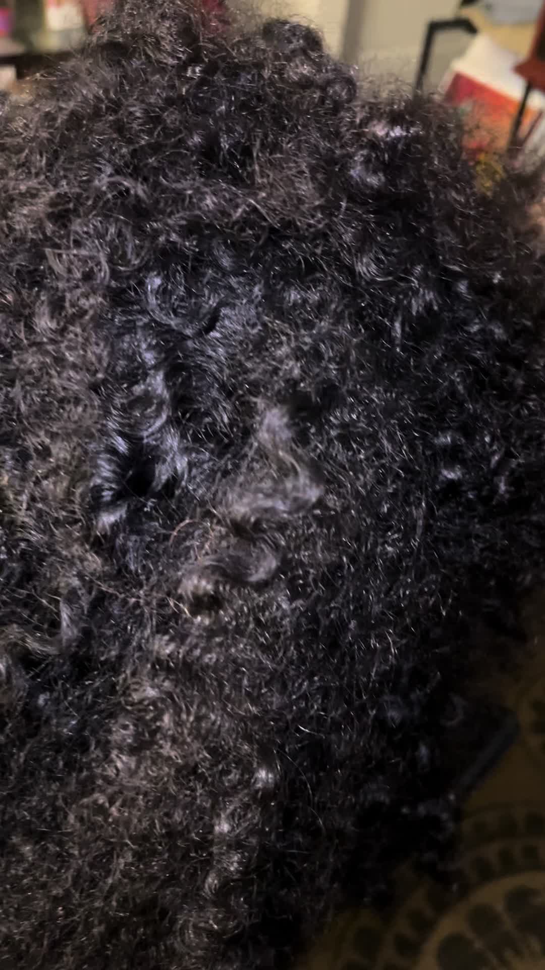 @tyholt045