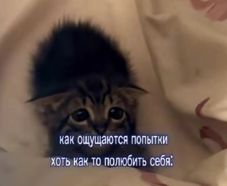 @#щп#