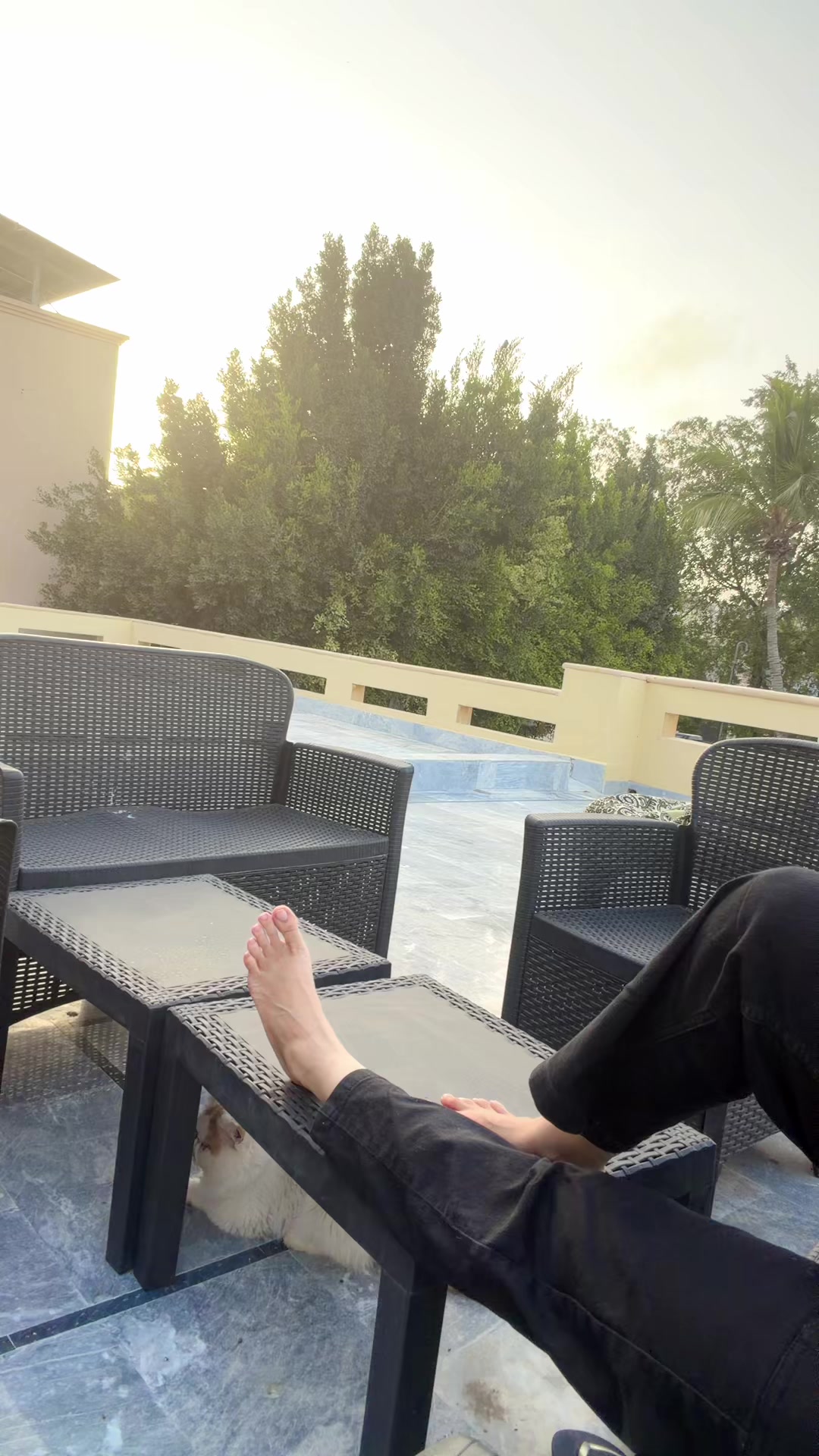 @zehraqureshi48