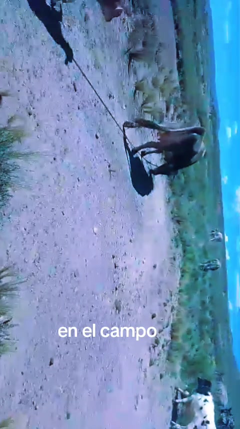 @PACARY