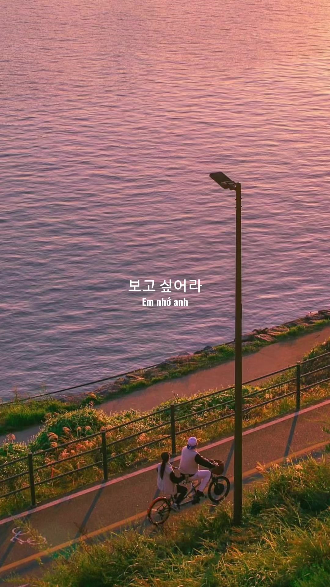 @𝑺𝒄𝒐𝒓𝒑𝒊𝒐🩵🌷