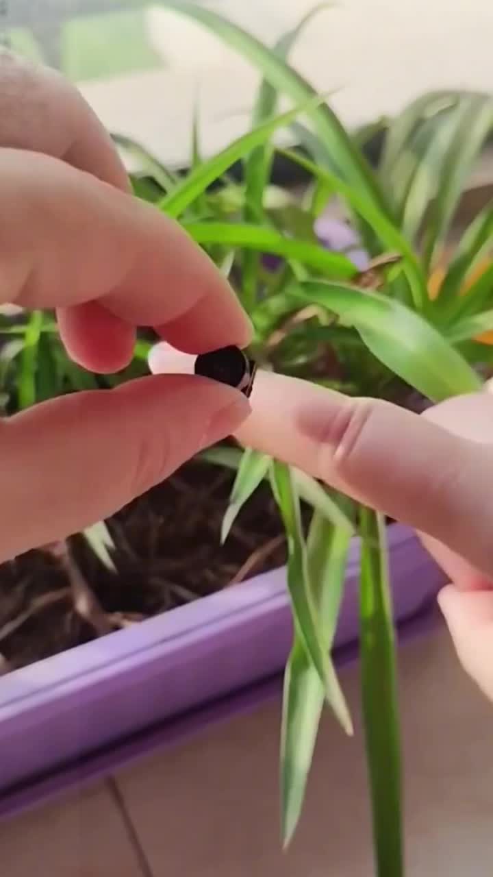 @bengoodthing11