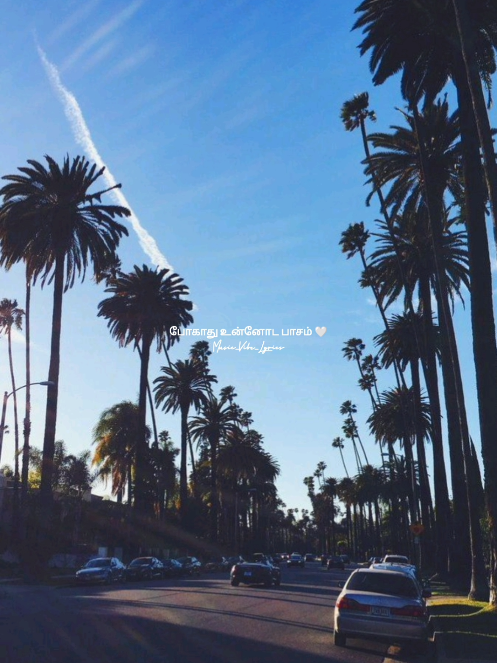 @Music_Vibes_Lyrics 🎶