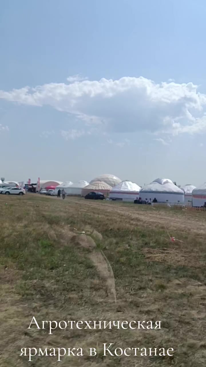 @Тиктокерша
