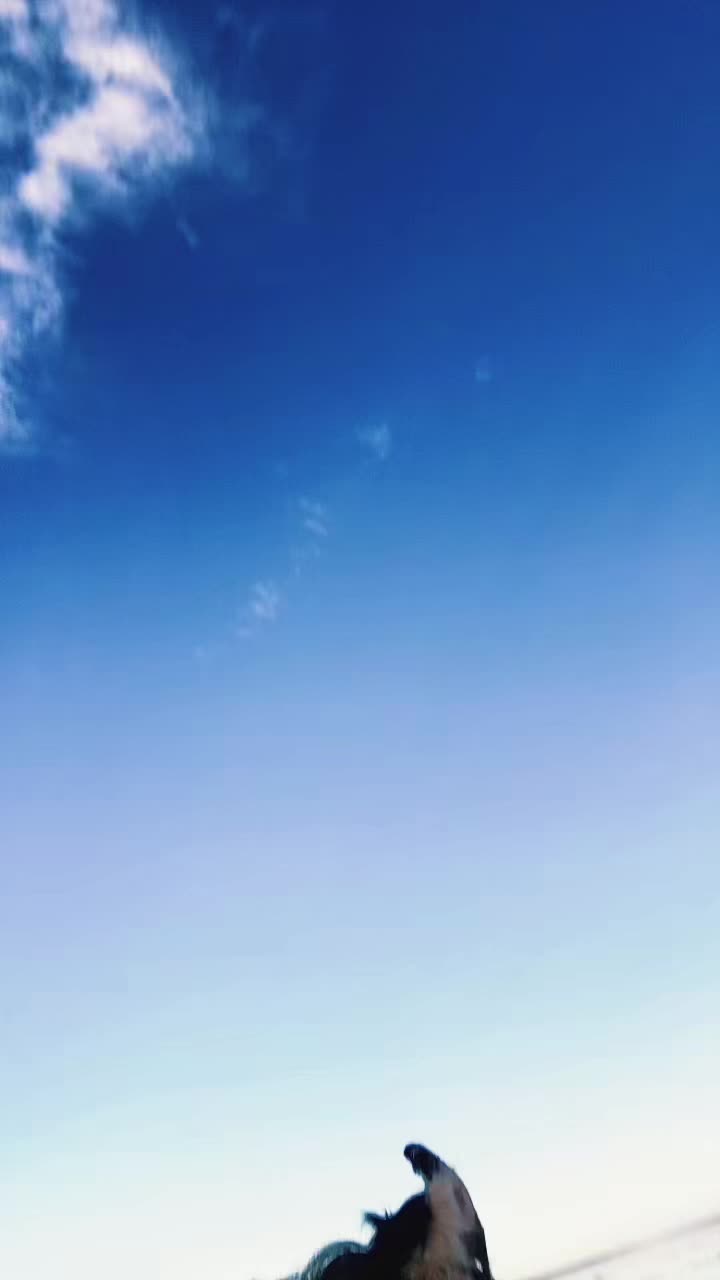 @ﮩ٨ـﮩﮩ٨ 𝕀𝕣𝕃 𝕋𝕠𝕓𝕪 ﮩ٨ـﮩ