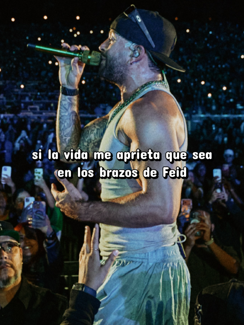 @fans de feid