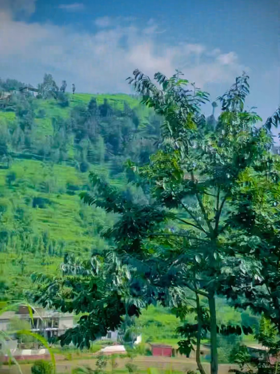 @🌲غر سنے 🌲