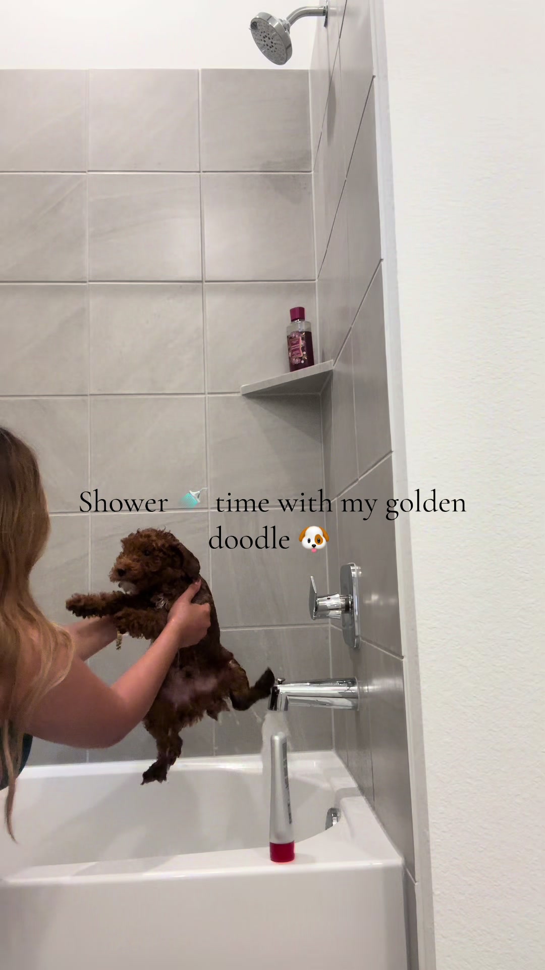 @Mjmj2
