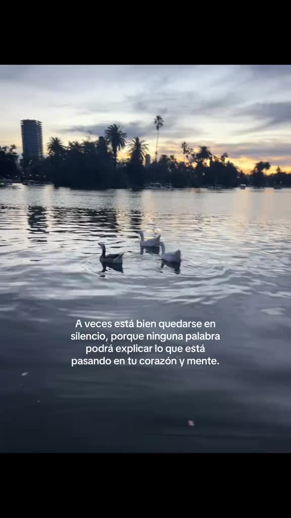 @Sofia Berduo