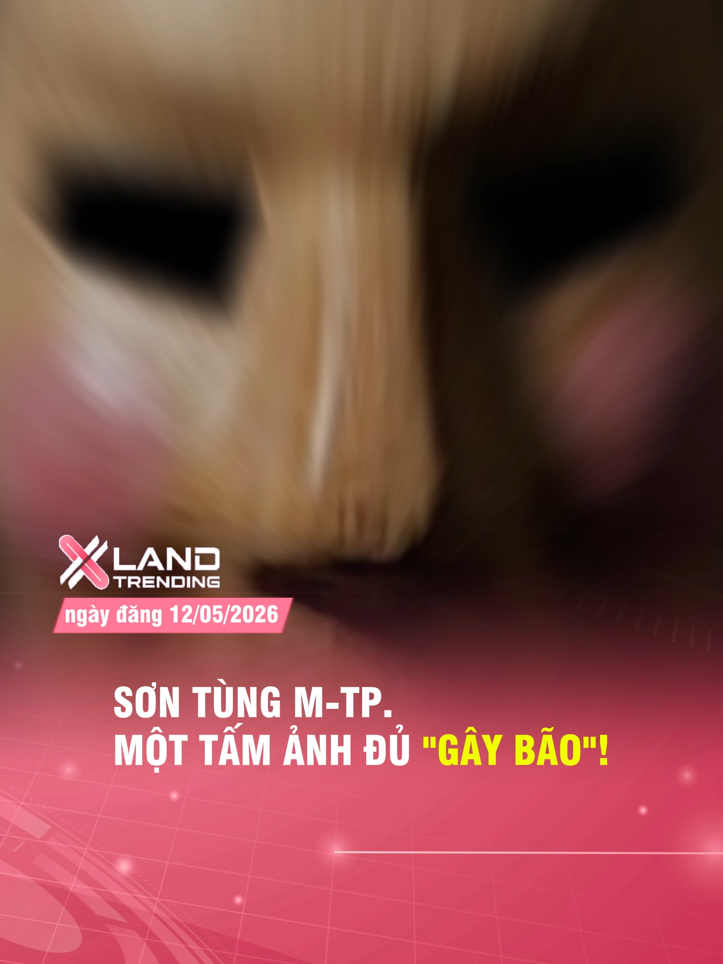 @XLAND TRENDING