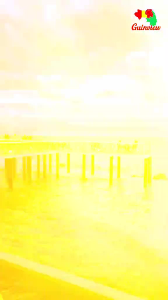 @syllamultiservice3